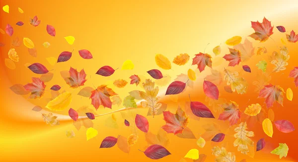 秋天枫叶斑驳陆离的背景上 — 图库照片