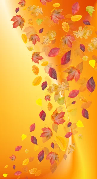 Herbstblätter auf buntem Hintergrund — Stockfoto