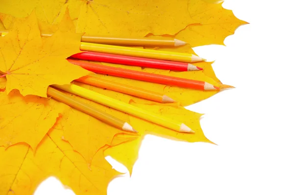 Lápices de colores sobre hojas amarillas — Foto de Stock