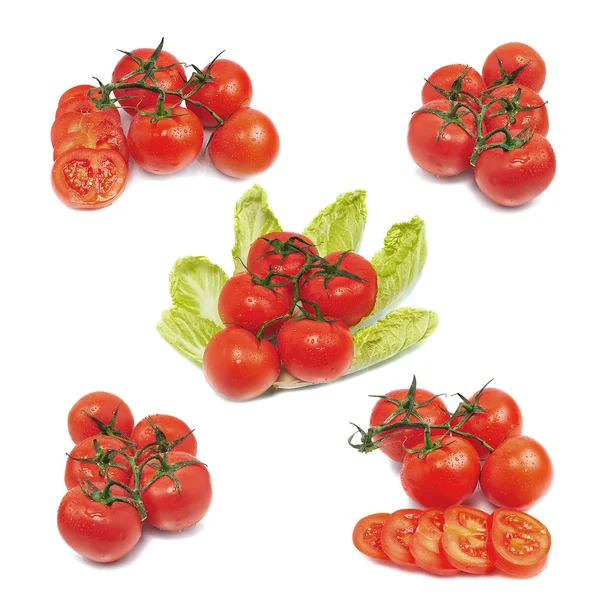 Świeże pomidory czerwone — Zdjęcie stockowe