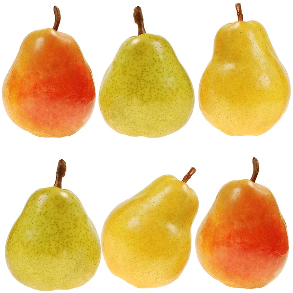 Fresh colorful pears — Stock Photo, Image