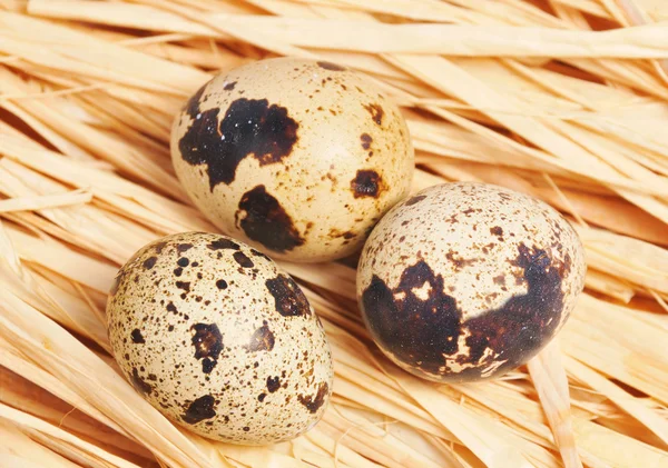 Tre uova macchiate — Foto Stock