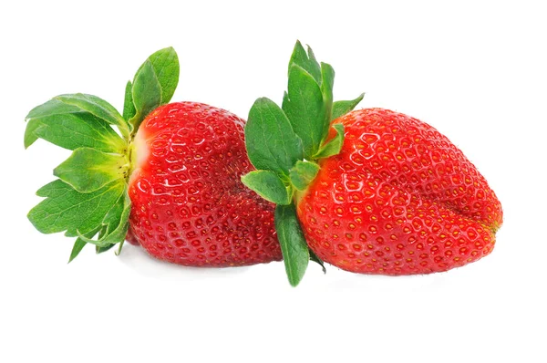 Två jordgubbe — Stockfoto