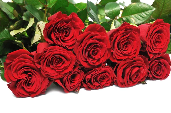 Big bouquet red roses Royalty Free Stock Images
