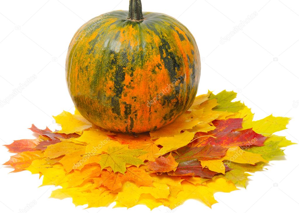 Fall leaves and pumpkin