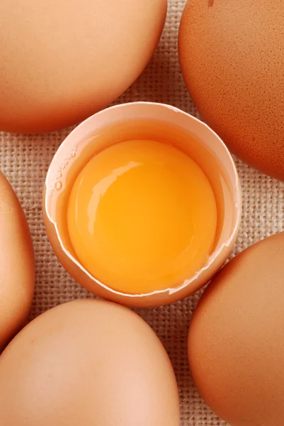 蛋黄 — 图库照片