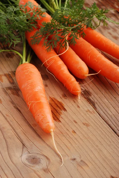 Куча моркови. — стоковое фото