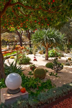 Fragment of famous Bahai gardens in Haifa, Israel clipart