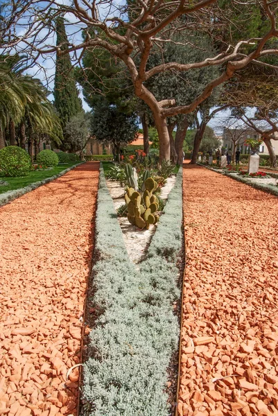 Ideally direct avenue in Baha'i park in Israel — Stock Photo, Image