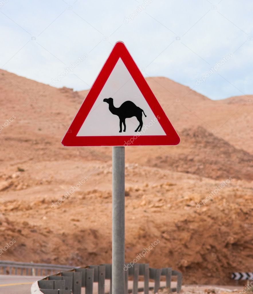 Triangular road sign with warning for crossing camels