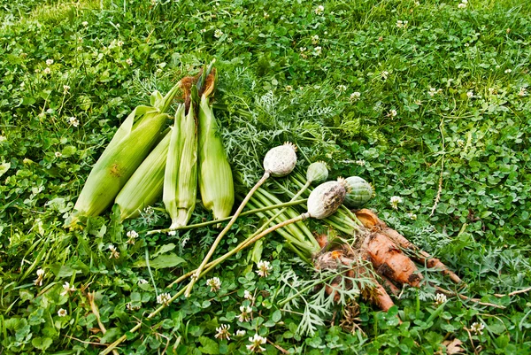 Kukurydziany marchew i maku na trawie — Zdjęcie stockowe