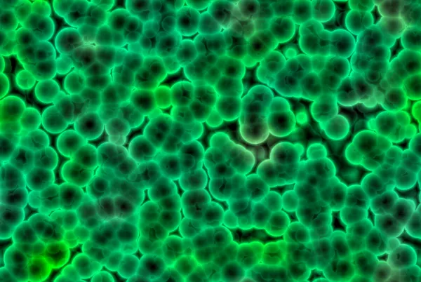 Komórki bakterii — Zdjęcie stockowe