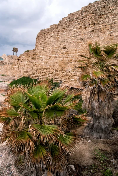 Ruins of the ancient Romanian harbor, Caesarea, Israel . — Stock Fotó