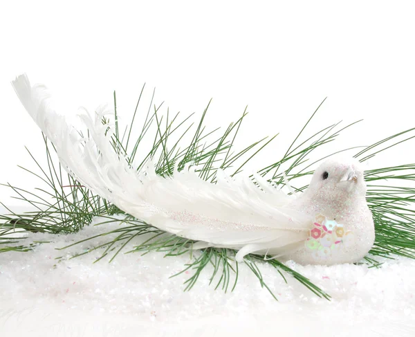 Christmas Dove — Stock fotografie