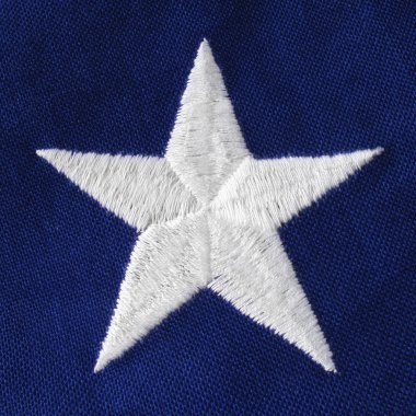 Amca Stan't bayrak yıldız