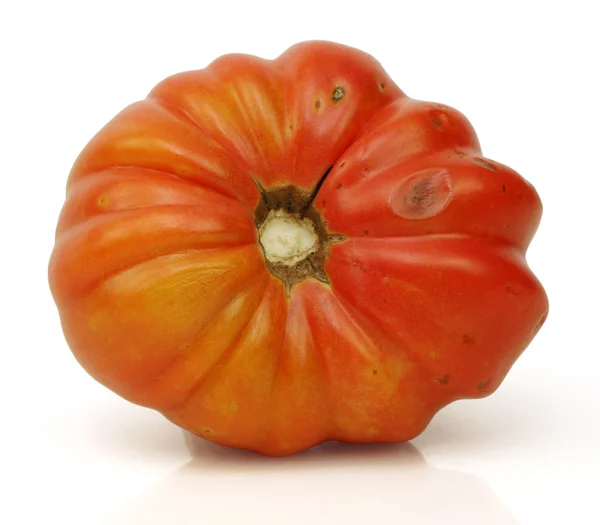O último tomate — Fotografia de Stock