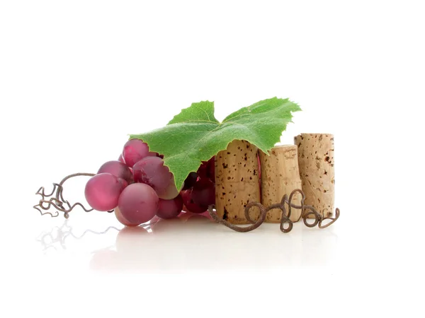 stock image Wine Vine