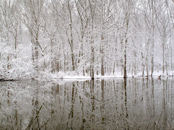 Reflexión de invierno — Foto de Stock