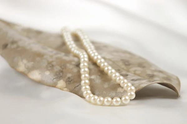 Collana di perle su foglia — Foto Stock
