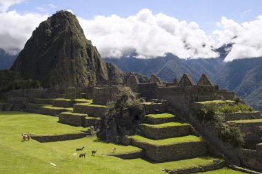 View of Machu Picchu, Peru clipart