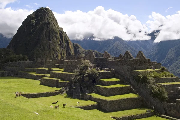 Vista de Machu Picchu, Perú — Foto de Stock