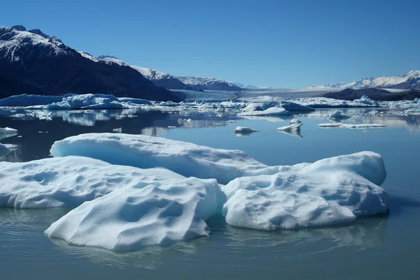 乌普萨拉冰川 — 图库照片