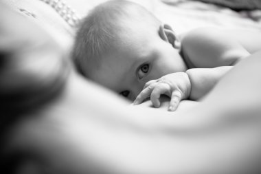 Infant drinking mother's milk, in the foreground sweet baby arm clipart