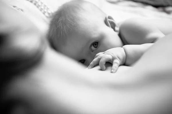 フォア グラウンドの甘い赤ん坊の腕で母のミルクを飲む乳児 — ストック写真