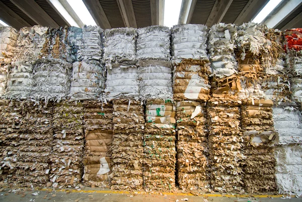 Recycling von Altpapier — Stockfoto