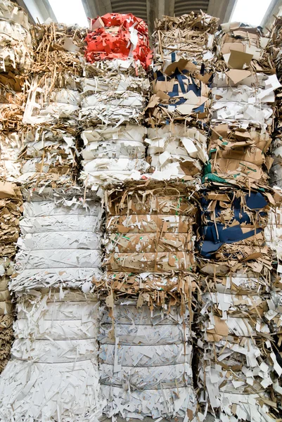 Recykling odpadów papieru — Zdjęcie stockowe