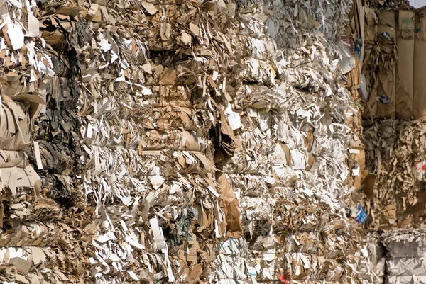 Recyclage des vieux papiers — Photo