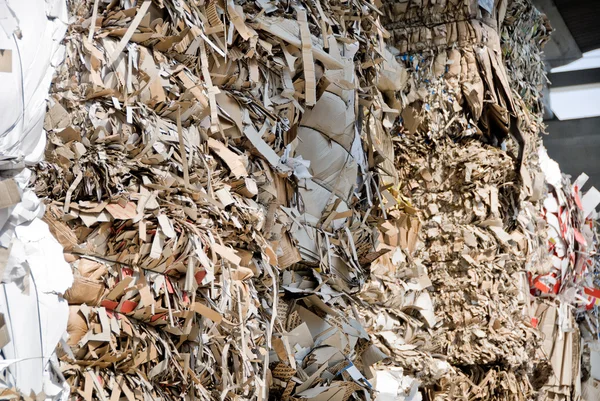 废纸的回收利用 — 图库照片