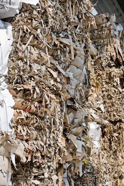 Recycling van oud papier — Stockfoto