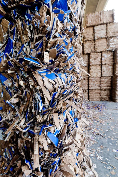 A papírhulladék újrahasznosítása — Stock Fotó