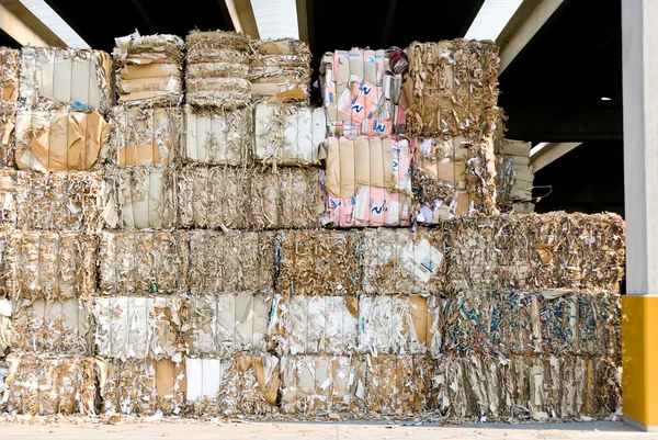 废纸的回收利用 — 图库照片