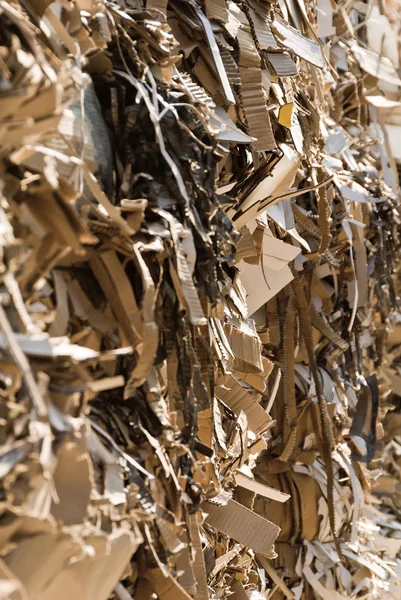 Recycling van oud papier — Stockfoto