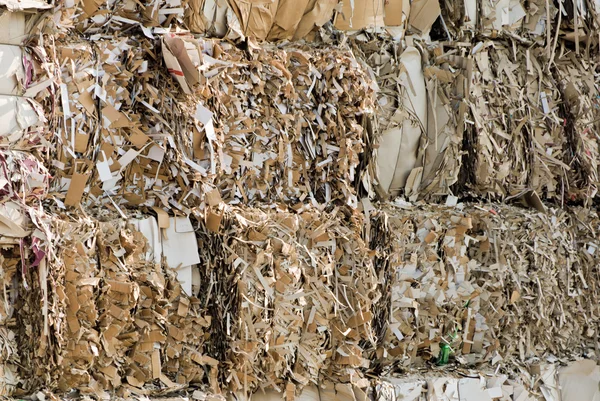 Reciclagem de resíduos de papel — Fotografia de Stock