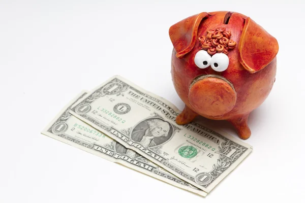 Свинка с долларовыми купюрами — стоковое фото
