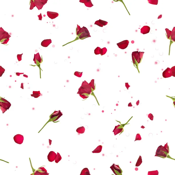Nahtlose Rosen und Blütenblätter in Rot — Stockfoto