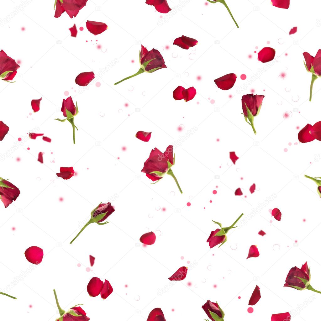 Seamless roses and petals in red
