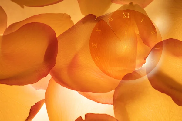 Часы с опавшими лепестками роз — стоковое фото