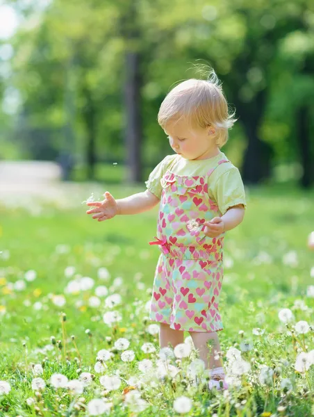 Baby playing with dandelions in park — Stock Photo, Image