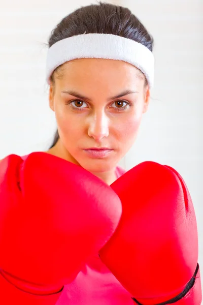 Retrato de menina ajuste concentrado em luvas de boxe — Fotografia de Stock