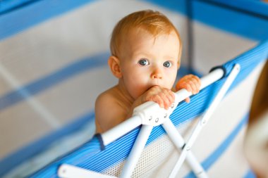 Portrait of baby in playpen clipart