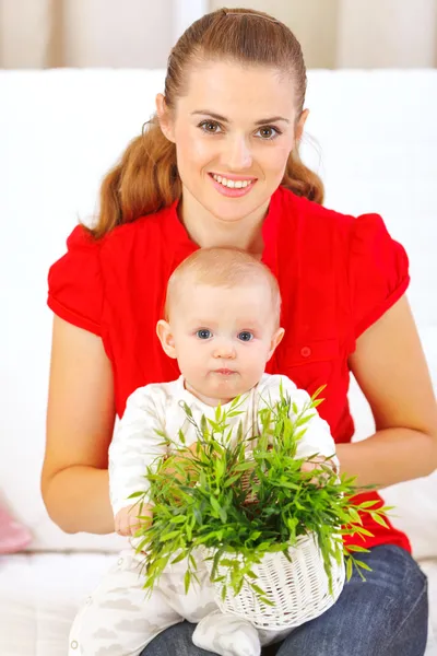 Младенец играет с растением, сидя на материнских лапах — стоковое фото