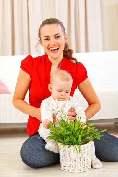 Sorrindo mamãe mostrando planta para seu bebê — Fotografia de Stock