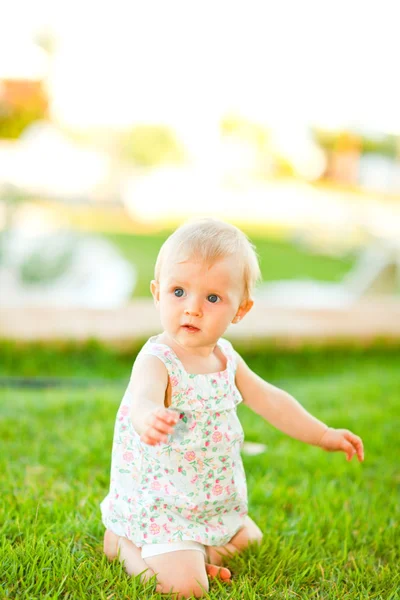草の上に座って興味の赤ちゃん — ストック写真