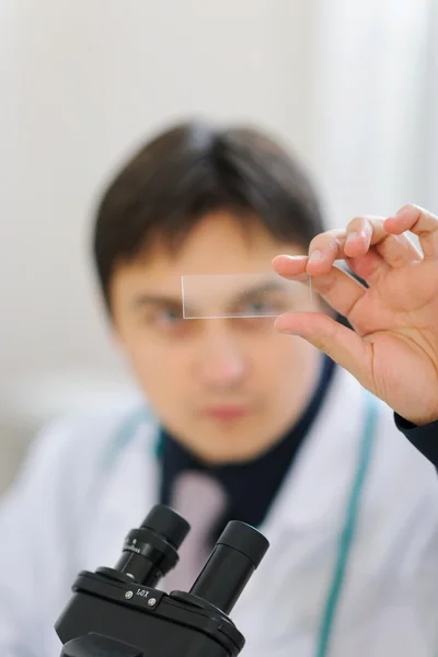 Male researcher checking sample — Stock Photo, Image