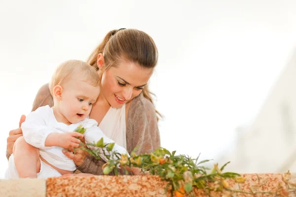 Mère montrant des plantes pour bébés — Photo