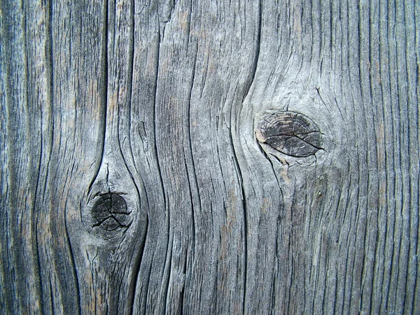 2 つのノットと古い木製の門 — ストック写真